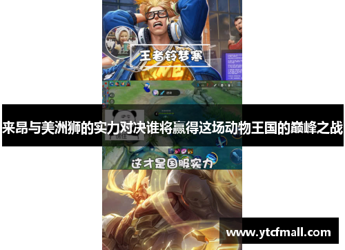 来昂与美洲狮的实力对决谁将赢得这场动物王国的巅峰之战