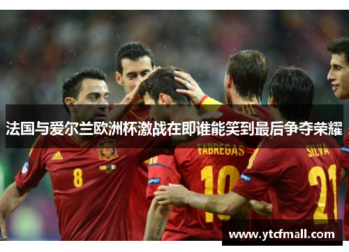 法国与爱尔兰欧洲杯激战在即谁能笑到最后争夺荣耀